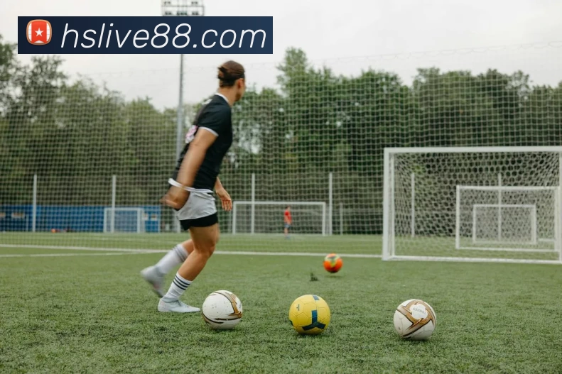 恒盛娱乐官网平台生态图